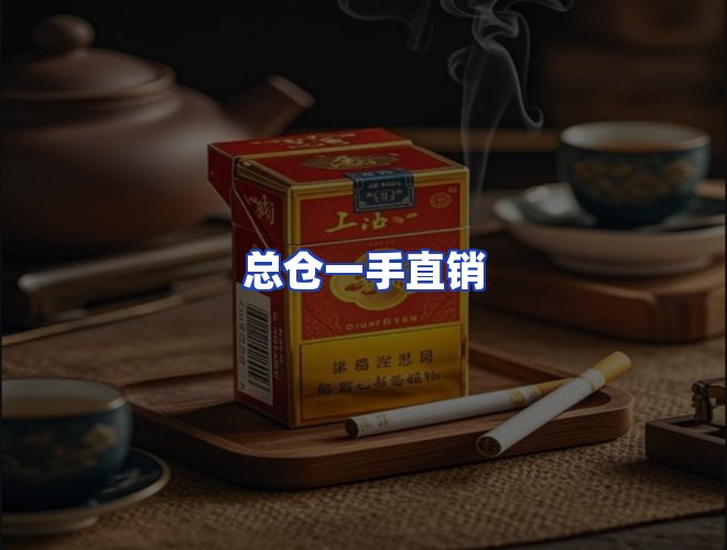 专业团队
